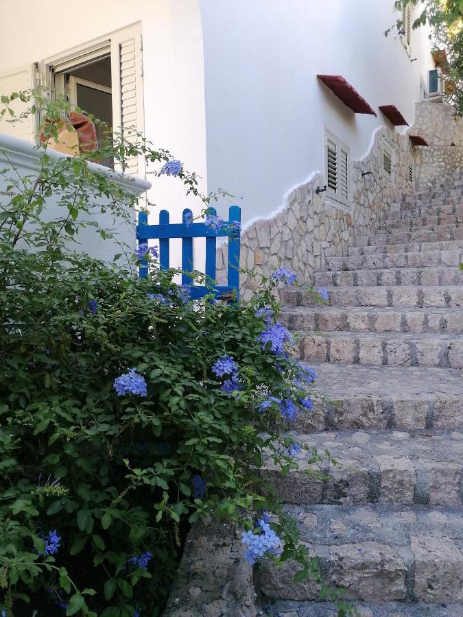 Villa Marigiosa Salento Marittima Εξωτερικό φωτογραφία