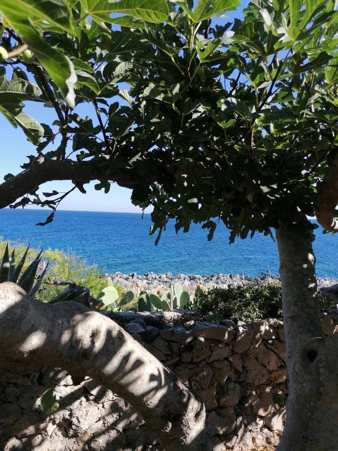 Villa Marigiosa Salento Marittima Εξωτερικό φωτογραφία