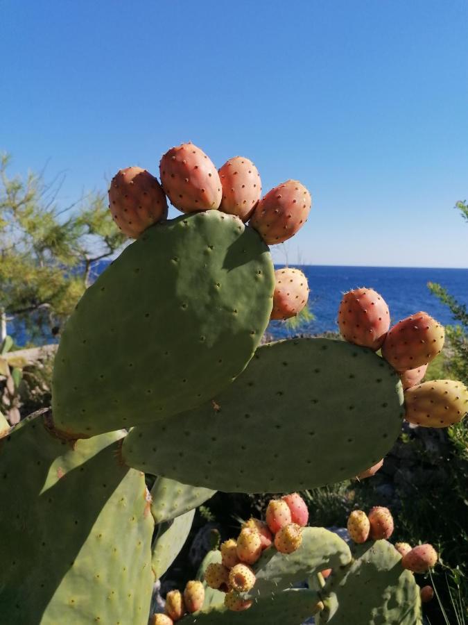 Villa Marigiosa Salento Marittima Εξωτερικό φωτογραφία