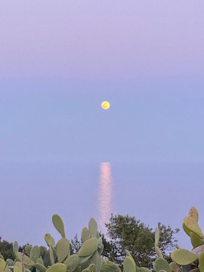 Villa Marigiosa Salento Marittima Εξωτερικό φωτογραφία