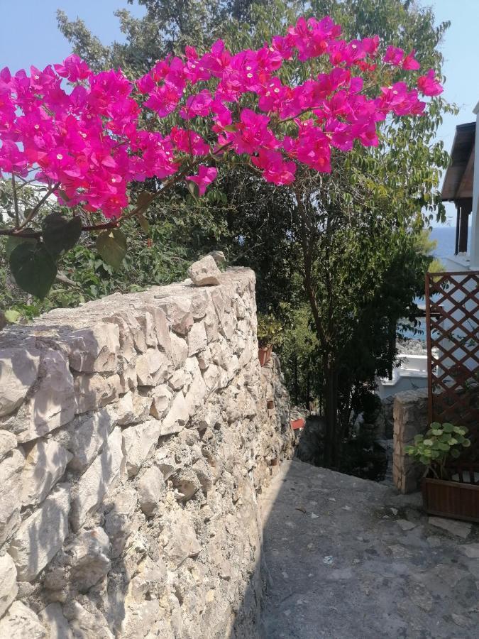 Villa Marigiosa Salento Marittima Εξωτερικό φωτογραφία